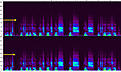 Klicke auf die Grafik fr eine vergrerte Ansicht

Name: bild10.jpg
Ansichten: 311
Gre: 332,4 KB
ID: 27470